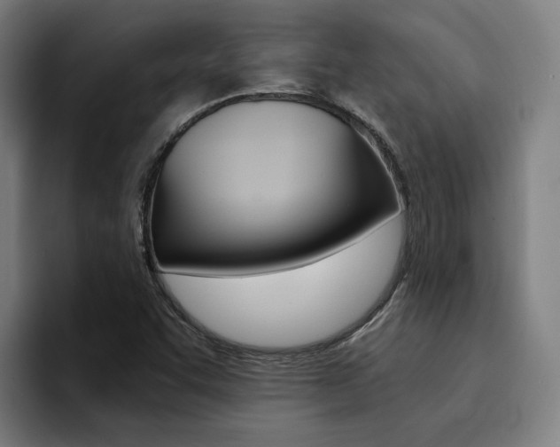 X0000094431455200711081009