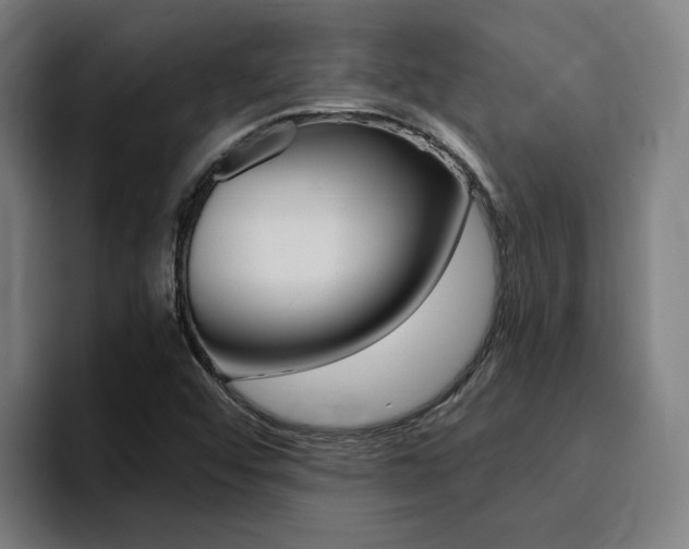 X0000094431456200711081009