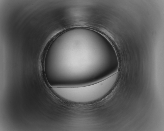 X0000094431458200711081009