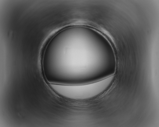 X0000094431464200711081009