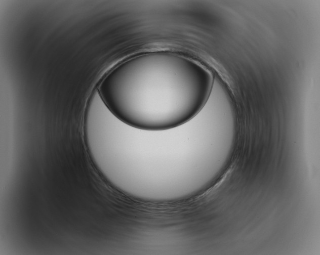 X0000094431465200711081009