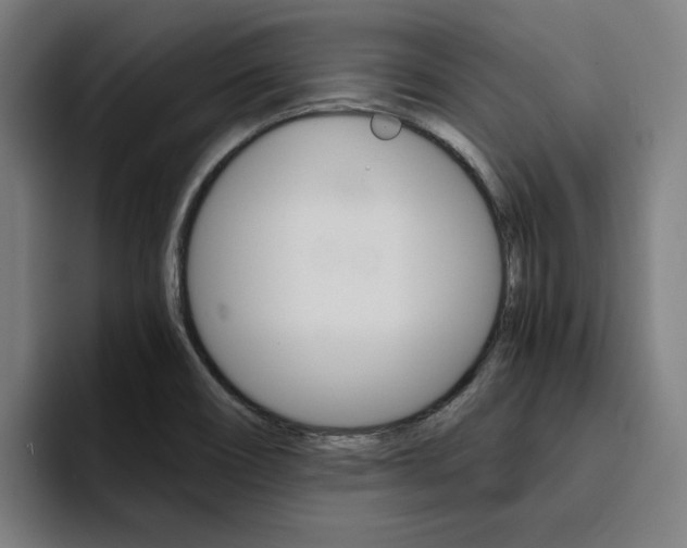 X0000094431466200711081009