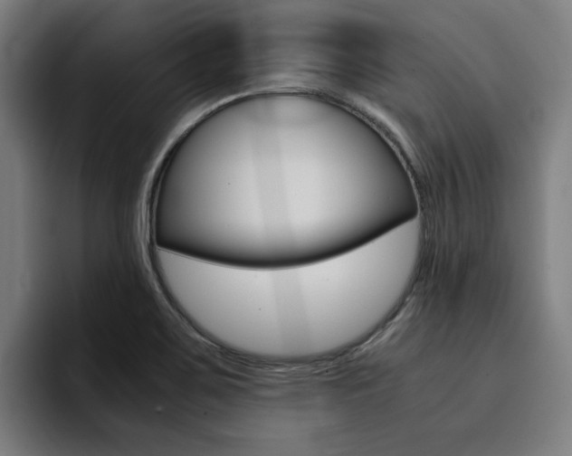 X0000094431467200711081009