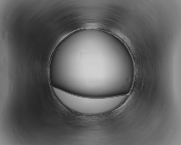 X0000094431473200711081009