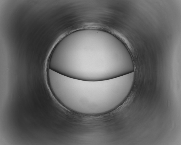 X0000094431475200711081009
