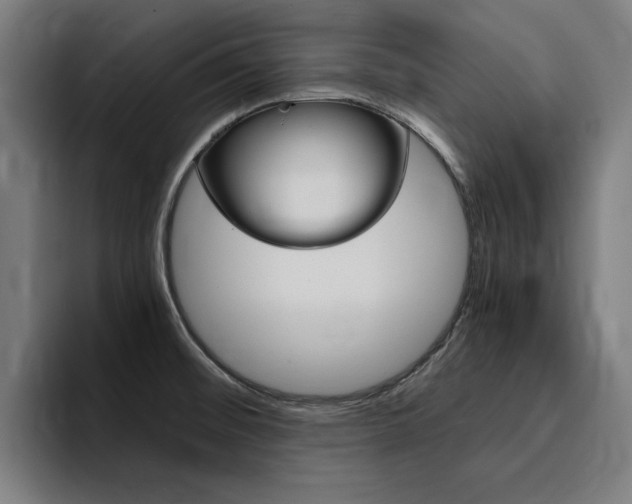 X0000094431476200711081009