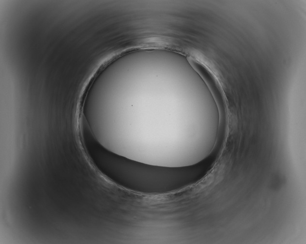 X0000094431477200711081009