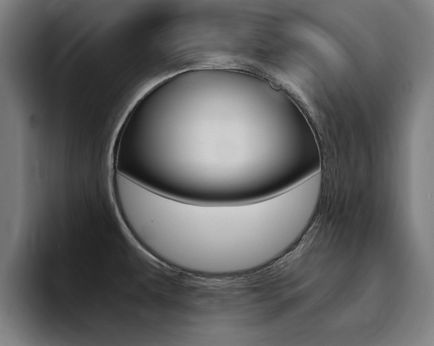 X0000094431479200711081009