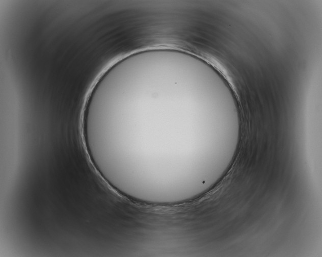 X0000094431480200711081009