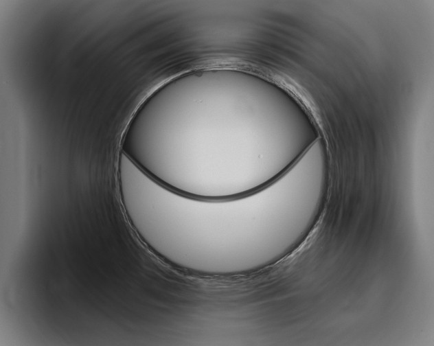 X0000094431481200711081009