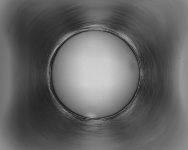 X0000094431482200711081009