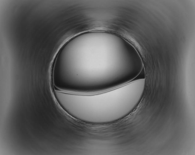 X0000094431483200711081009