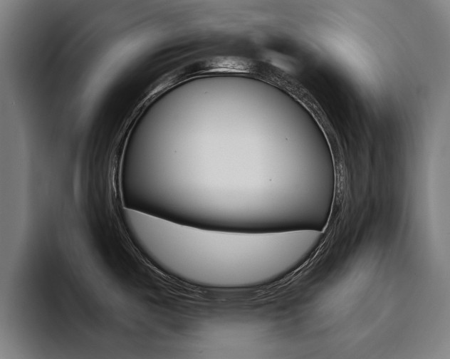 X0000094431487200711081009