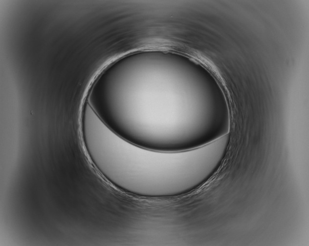 X0000094431488200711081009