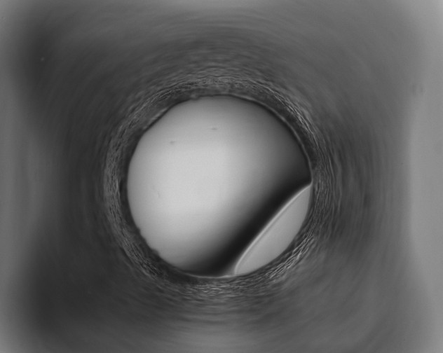 X0000094431489200711081008