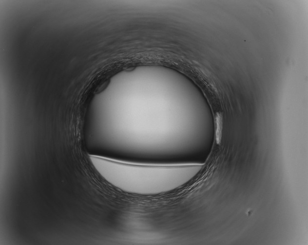 X0000094431491200711081008