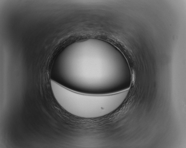 X0000094431492200711081008