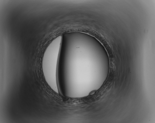 X0000094431493200711081008