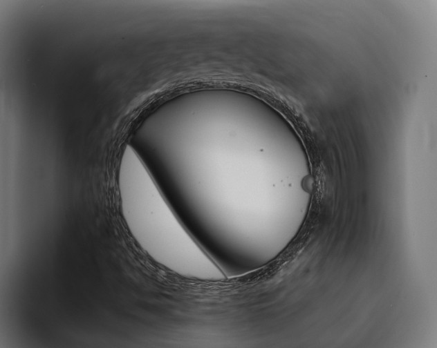 X0000094431494200711081008