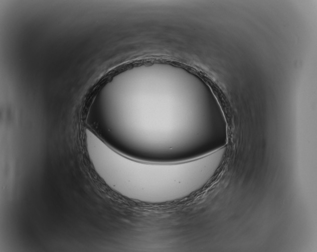 X0000094431496200711081008