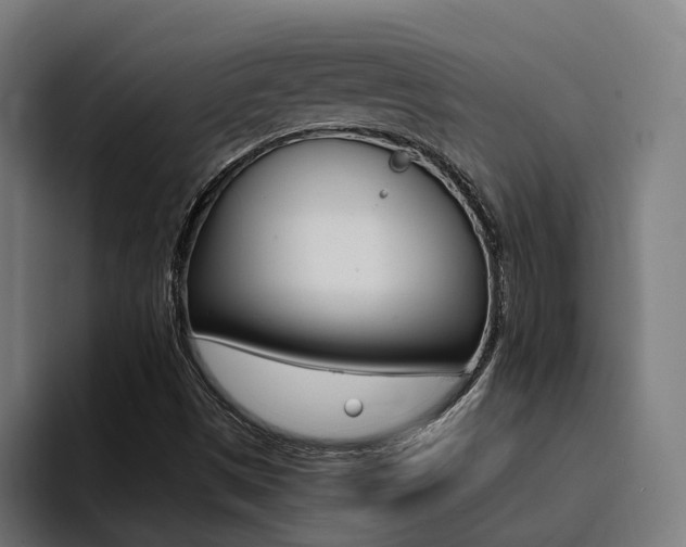 X0000094431497200711081008