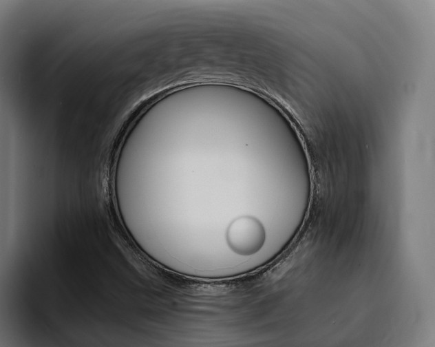 X0000094431499200711081008