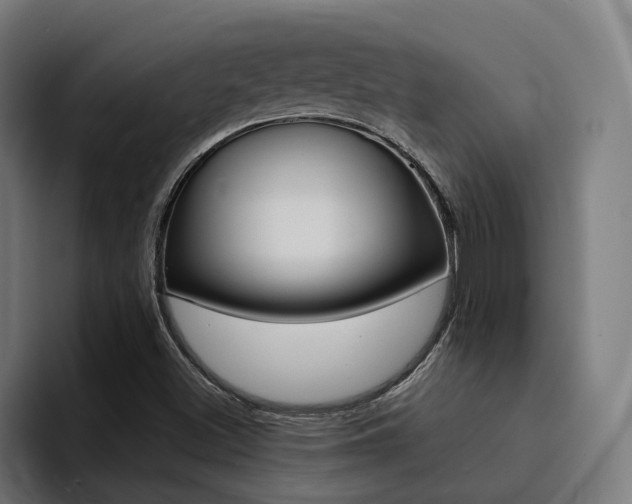 X0000094431500200711081008