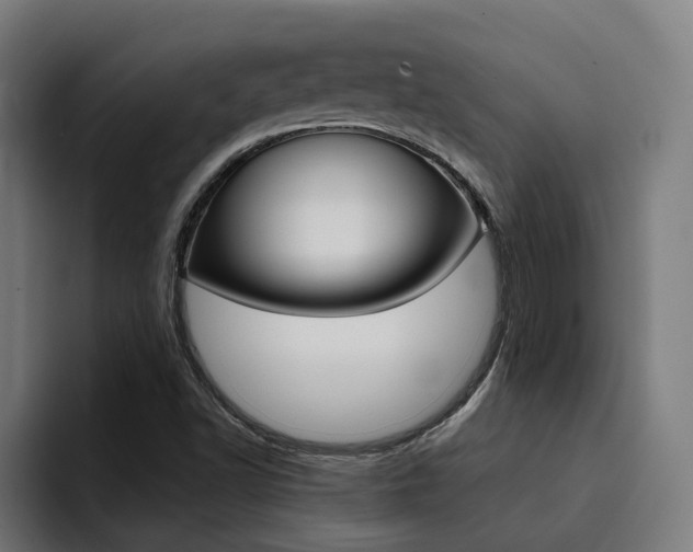 X0000094431502200711081008