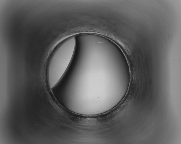 X0000094431503200711081008