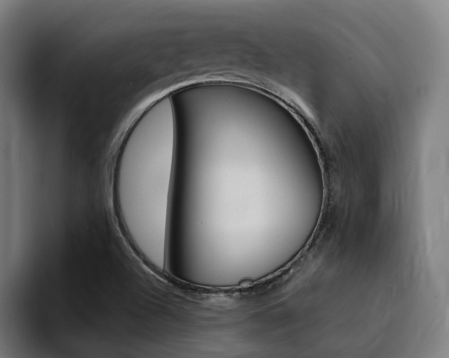 X0000094431504200711081008