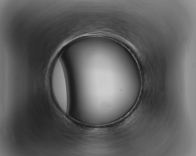 X0000094431506200711081008