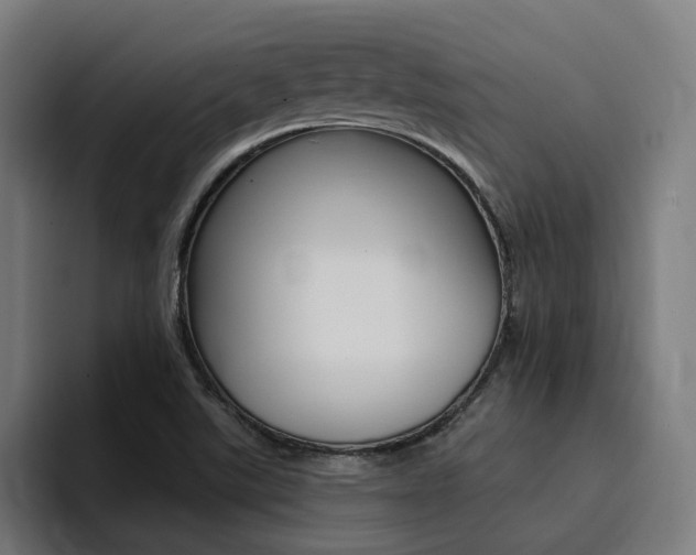 X0000094431507200711081008