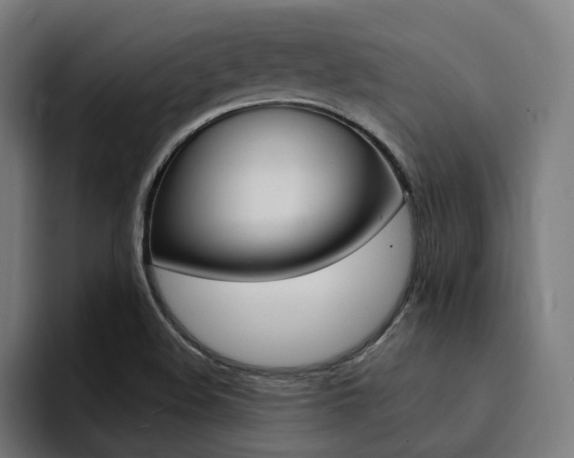 X0000094431508200711081008