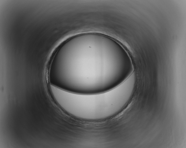 X0000094431510200711081008