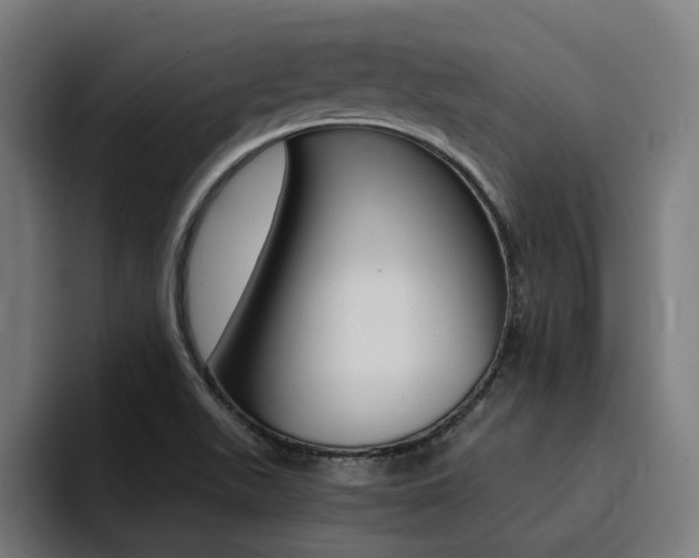 X0000094431511200711081008