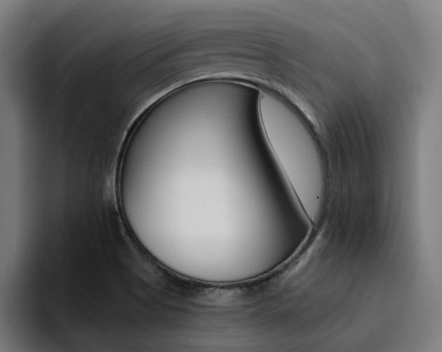 X0000094431513200711081008