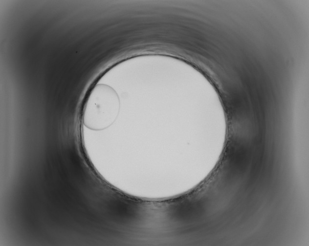 X0000094431514200711081008