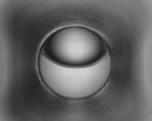 X0000094431518200711081008