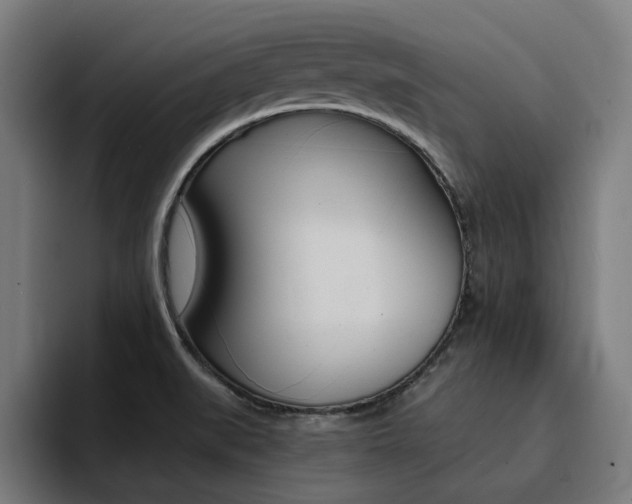 X0000094431519200711081008