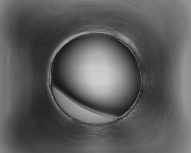 X0000094431520200711081008