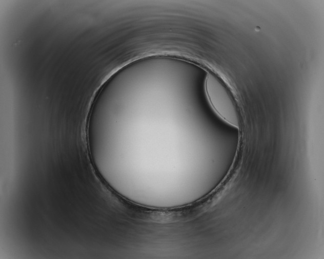 X0000094431521200711081008