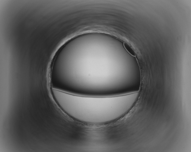 X0000094431522200711081008