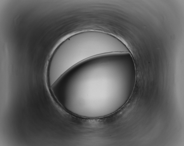 X0000094431523200711081008