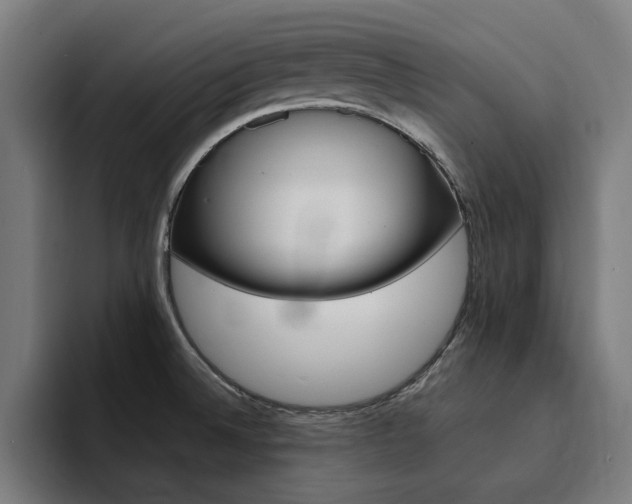 X0000094431524200711081008