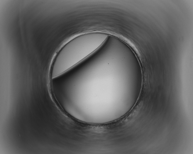 X0000094431525200711081008