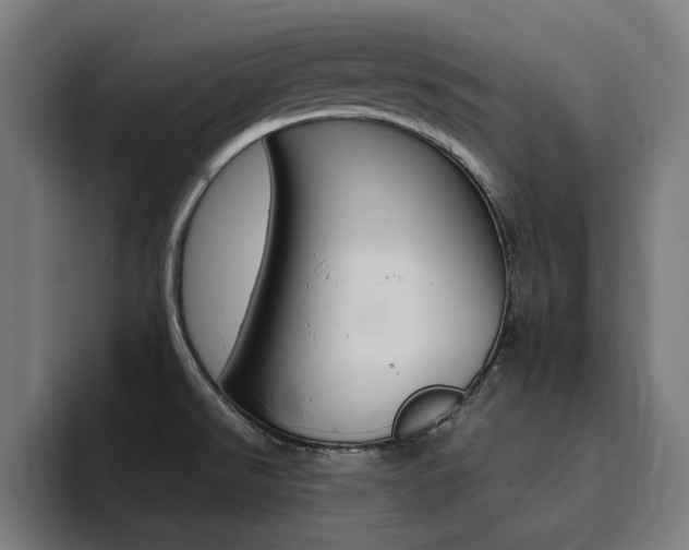 X0000094431526200711081008