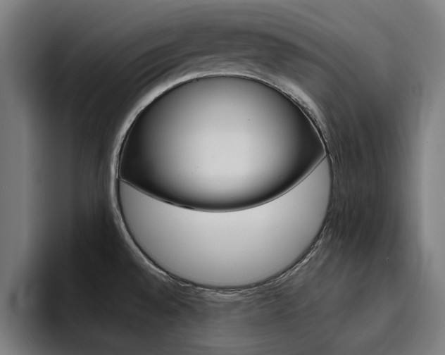 X0000094431528200711081009