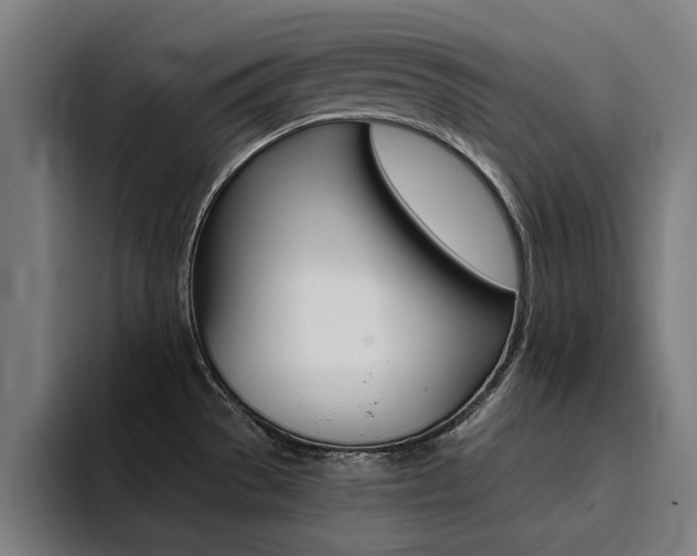 X0000094431529200711081009