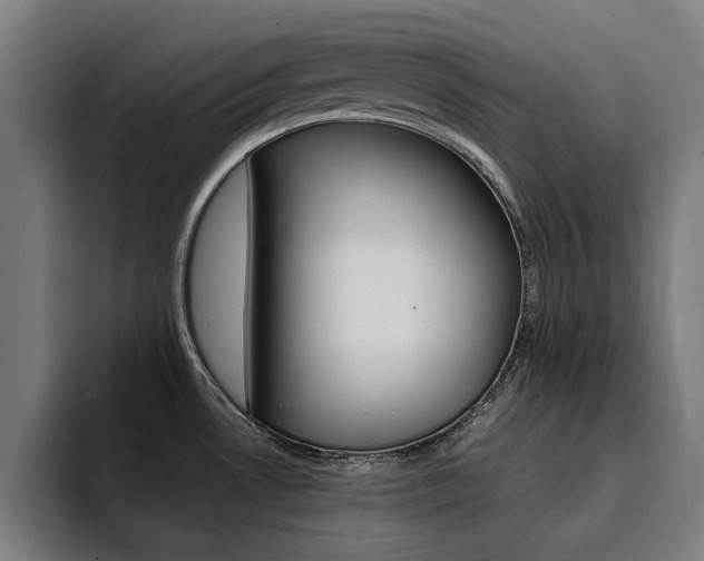 X0000094431530200711081009