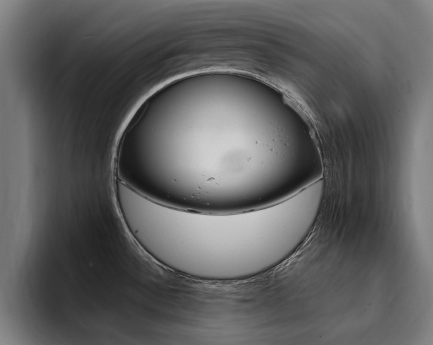 X0000094431532200711081009